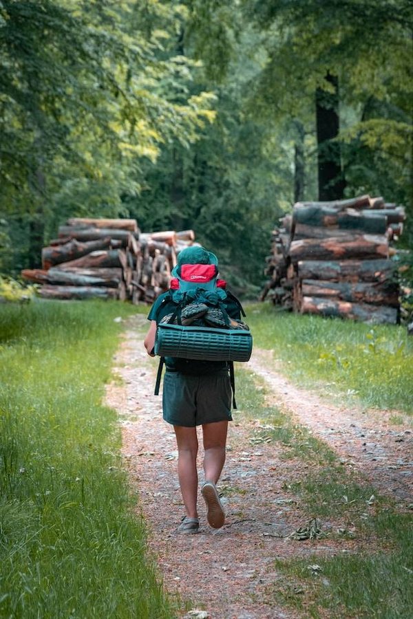 Comment voyager en respectant l'environnement ?