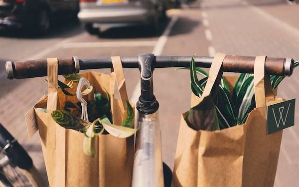 Quelles sont les bonnes pratiques pour voyager sans plastique ?